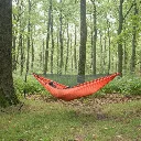 Forest Classic- łososiowy.webp