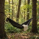 Triplander Summer 1.webp