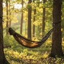 Triplander Summer Classic.webp