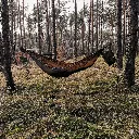 TRIPLANDER Summer Olive.webp