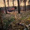 TRIPLANDER Summer Gray.webp