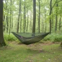 Forest Classic - oliwkowa zieleń.webp