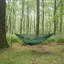 Forest LIGHT - butelkowa zieleń.webp