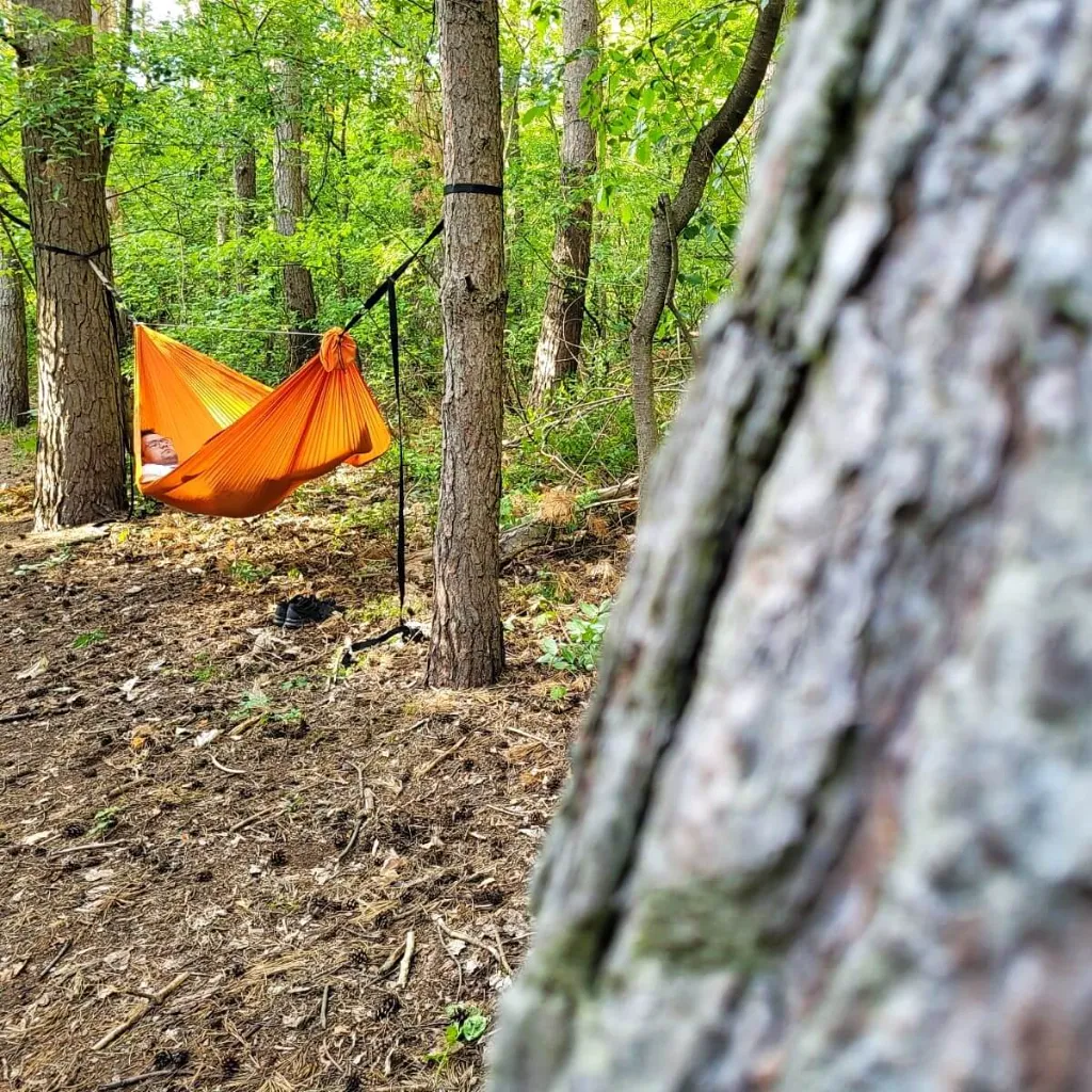 Triplander Light - orange 2.webp